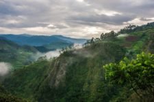 Bwindi Impenetrable National Park