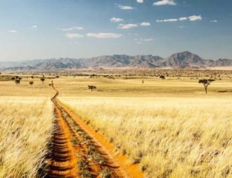 Namib Wüste auf einer Namibia Safari Rundreise