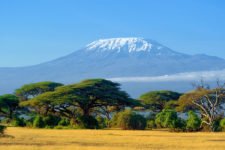Schnee auf der Spitze des Kilimanjaro vom Amboseli Nationalpark während einer Kenia Safari Reise
