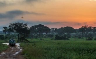 Wald im Murchison Falls Nationalpark Fahrt durch den Wald mit einem Safari Jeep während einer Uganda Safari Reise im Murchison Falls Nationalpark